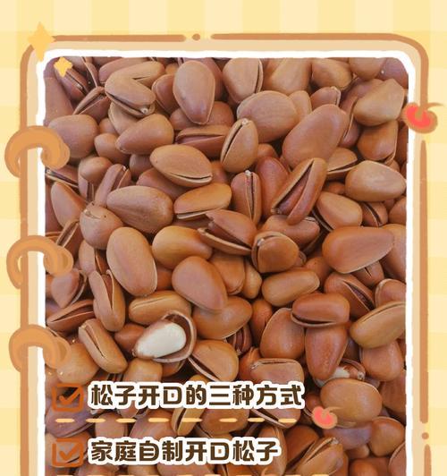 松子怎么种植？一文教你轻松掌握松子种植方法