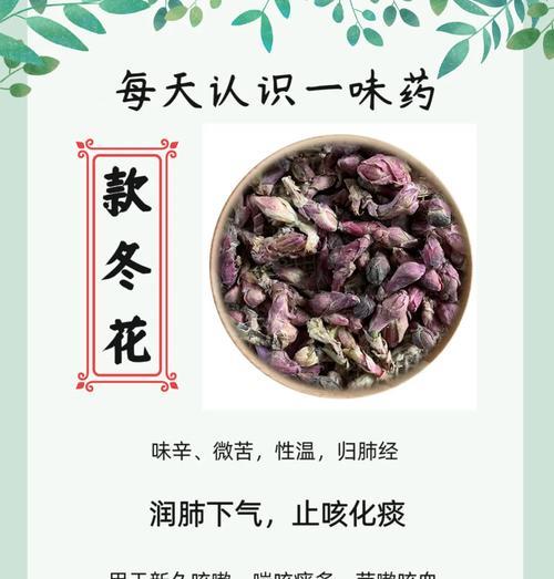冬花的种植方法与技巧全解析