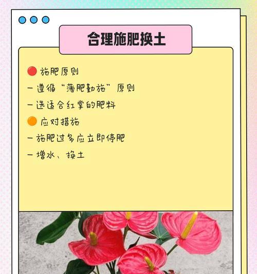 掌叶大黄种子怎么催芽播种