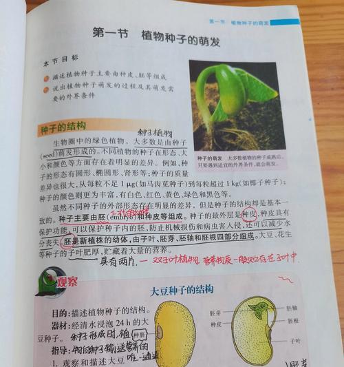 植物种子怎么种植方法：全步骤详解