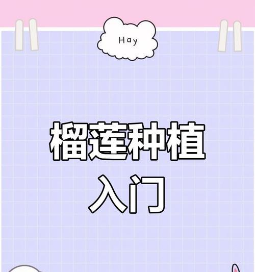 榴莲树叉怎么种植：步骤详解与实用技巧