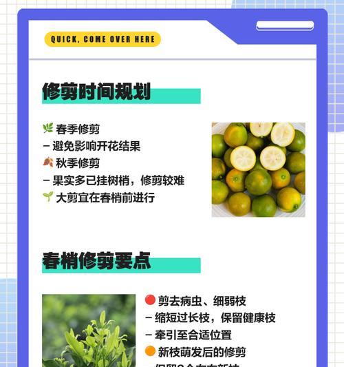 山桔子的修剪枝条技巧：全面指导手册