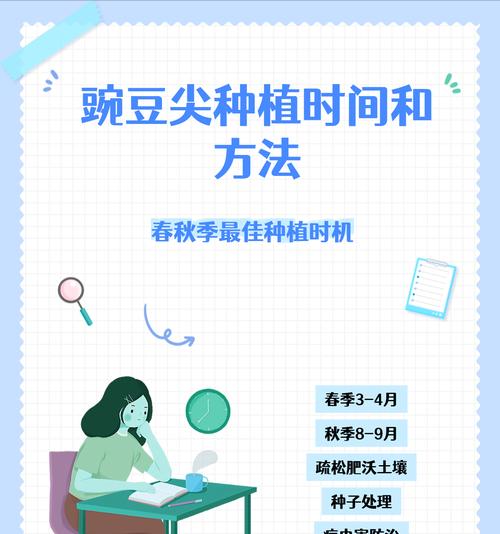 黄豌豆芽怎么种植方法