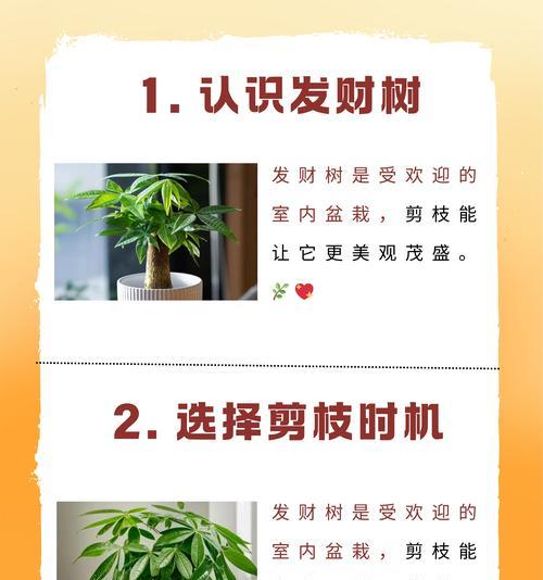 修剪枝条发根怎么修剪