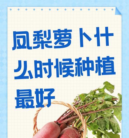 大箩卜种植全攻略：从播种到收获