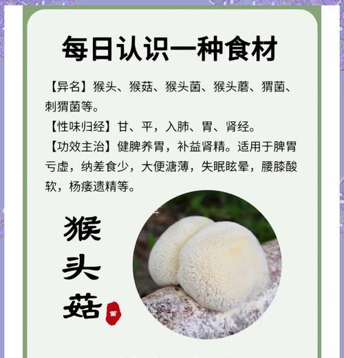 猴头菇的种植方法详解