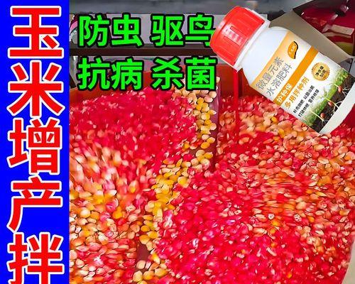 玉米催芽怎么处理：详细步骤与技巧指南