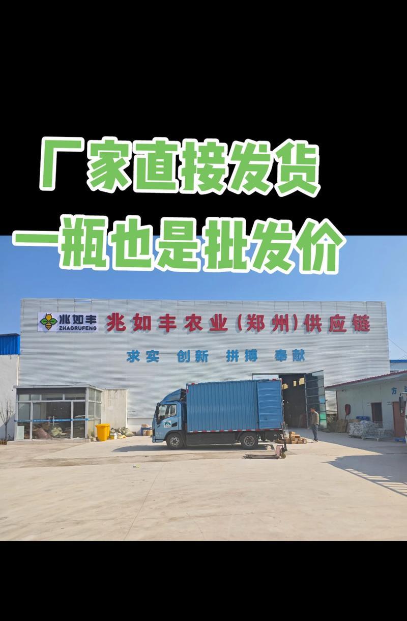 玉米催芽怎么处理：详细步骤与技巧指南