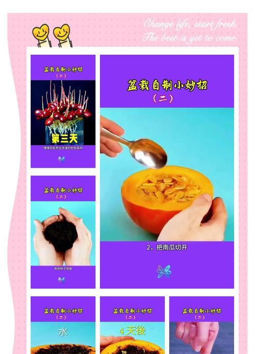 荔枝怎么用保湿法催芽呢