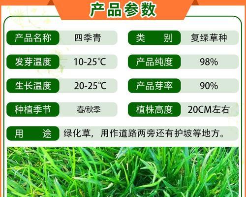 狗牙巴草的种植方法：从播种到养护的全程指导