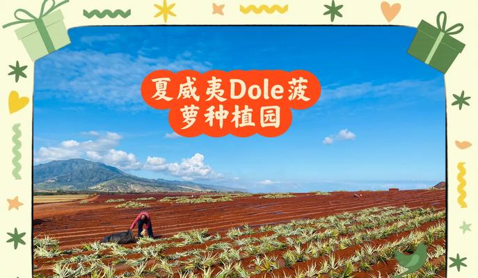 盆栽菠萝怎么种植方法