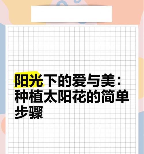 一束太阳花的种植方法：春日里的向日葵绽放