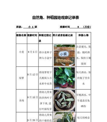 绿萝怎么截断种植方法