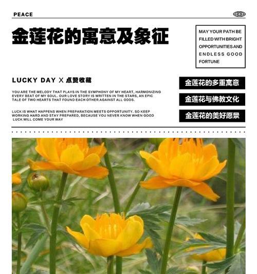 罗汉松品种有哪些？罗汉松品种的选择和养护要点