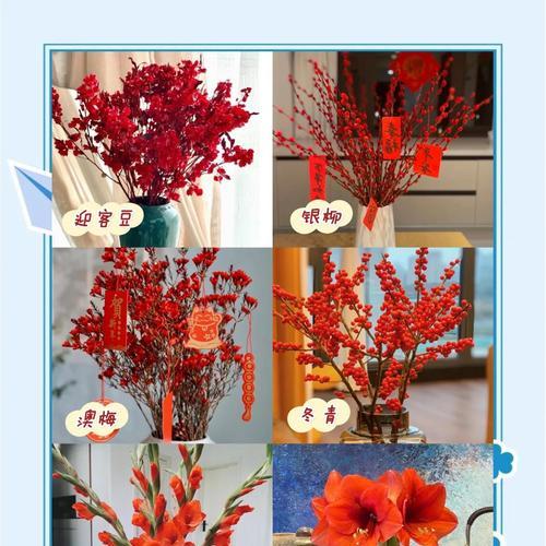 半月象征着什么红色的花？红色花朵的象征意义有哪些？