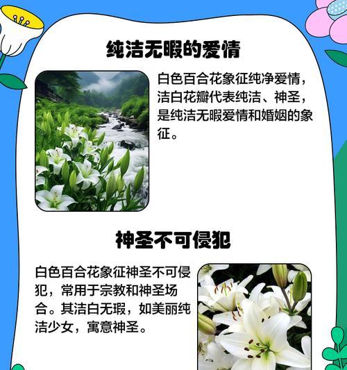 百合花送孩子的寓意是什么？如何选择合适的百合花束？