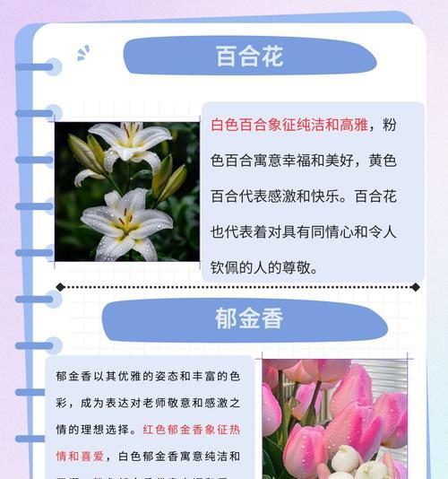 粉丝送花花语是什么？不同数量的花束代表什么含义？