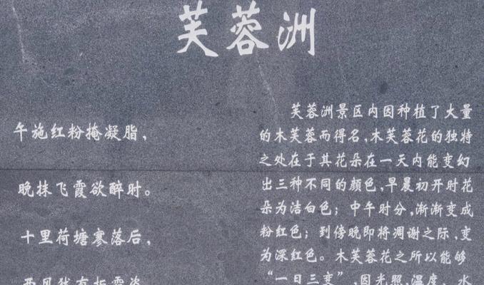 芙蓉花花语是什么？如何解读芙蓉花的象征意义？