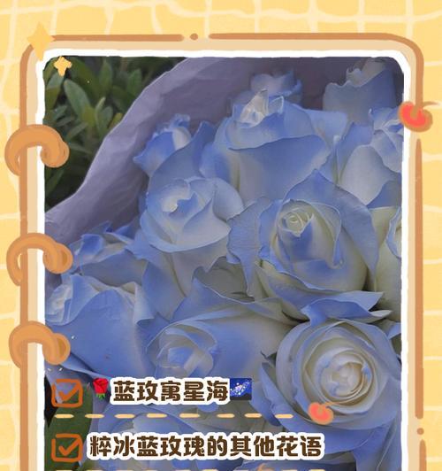 星空花语代表什么含义？如何正确表达情感？