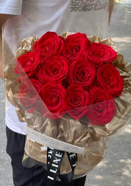什么花送朋友寓意最好？如何选择合适的花卉表达心意？