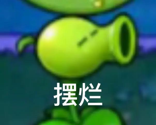 豌豆花恶搞花语是什么？如何解读这种幽默的花语含义？