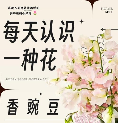 豌豆花恶搞花语是什么？如何解读这种幽默的花语含义？