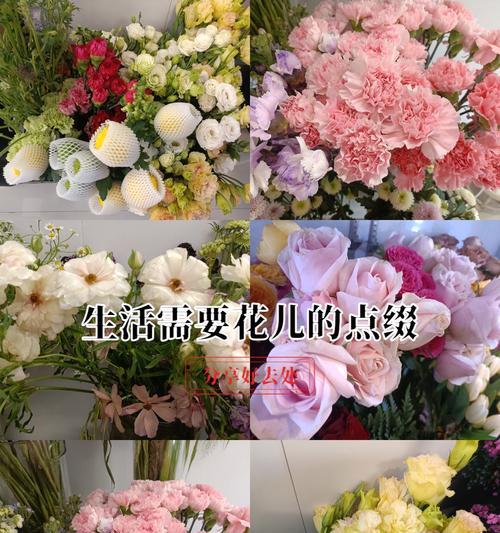 花香花语是什么？各种花卉的含义和用途是什么？