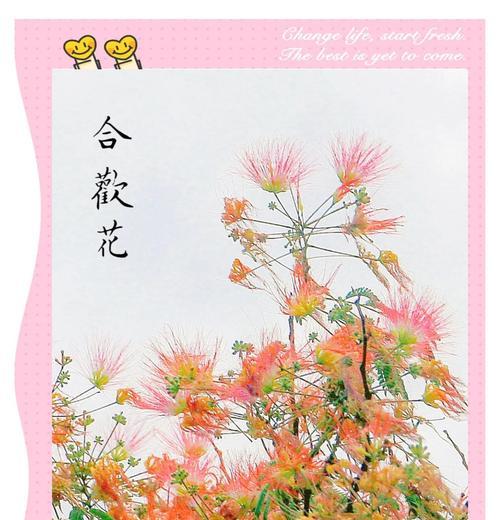古代象征爱情灵魂的花是什么花？这种花的花语有哪些含义？