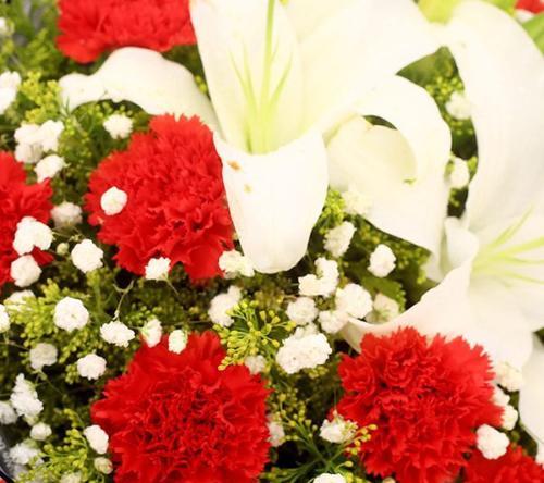 19朵香槟玫瑰代表什么含义？花语有哪些常见误解？