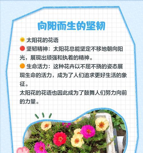 什么花代表守护的花语？守护之花有哪些？