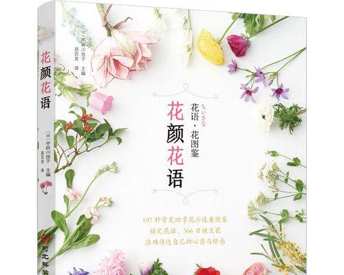 什么花代表守护的花语？守护之花有哪些？