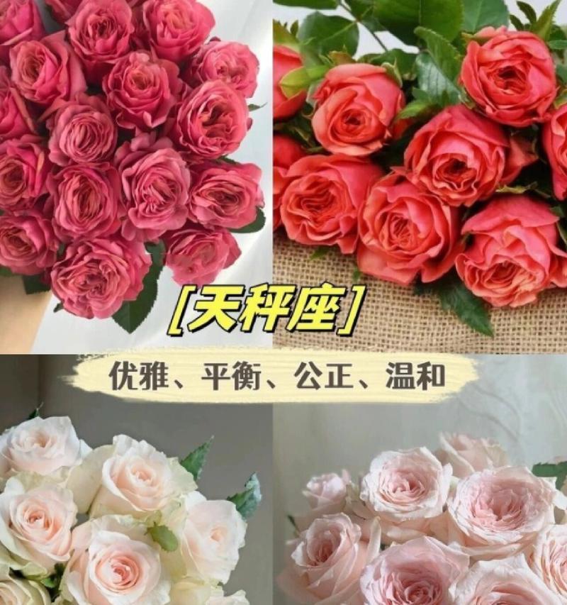 本命花的象征意义是什么？如何根据星座选择本命花？