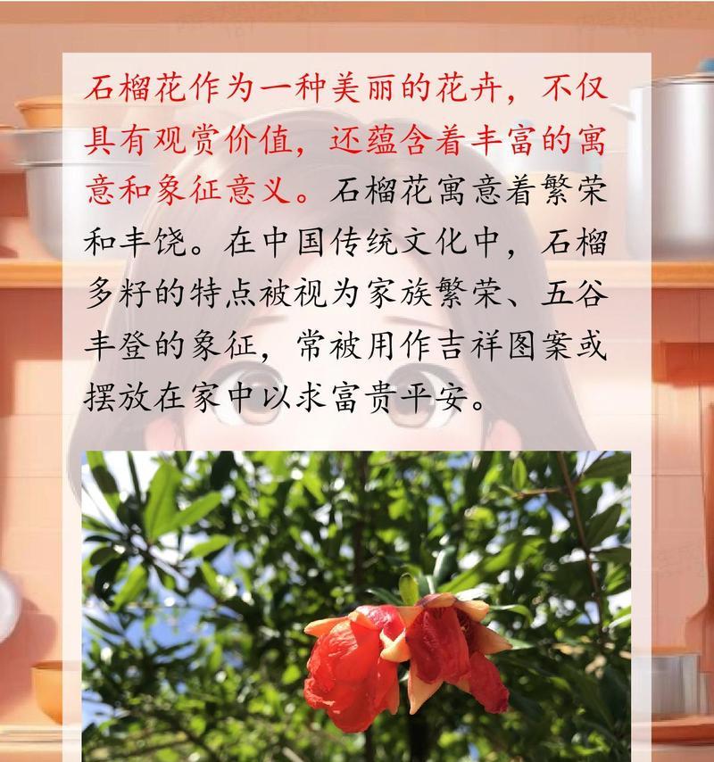 本命花的象征意义是什么？如何根据星座选择本命花？