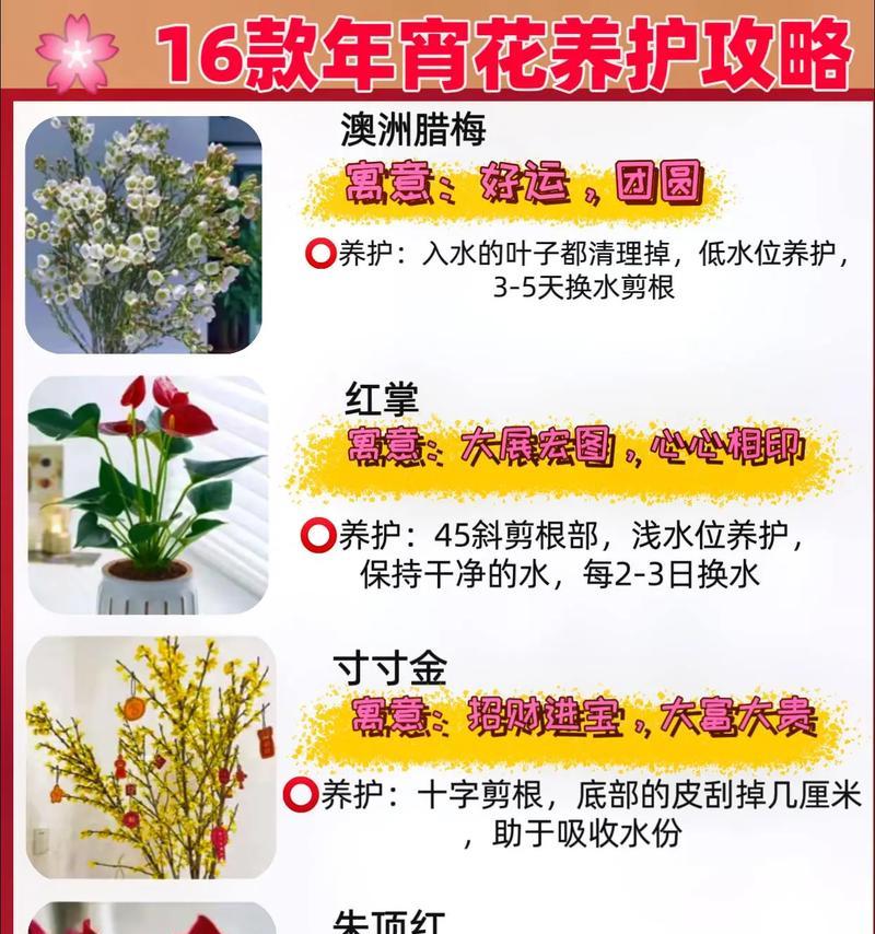 本命花的象征意义是什么？如何根据星座选择本命花？