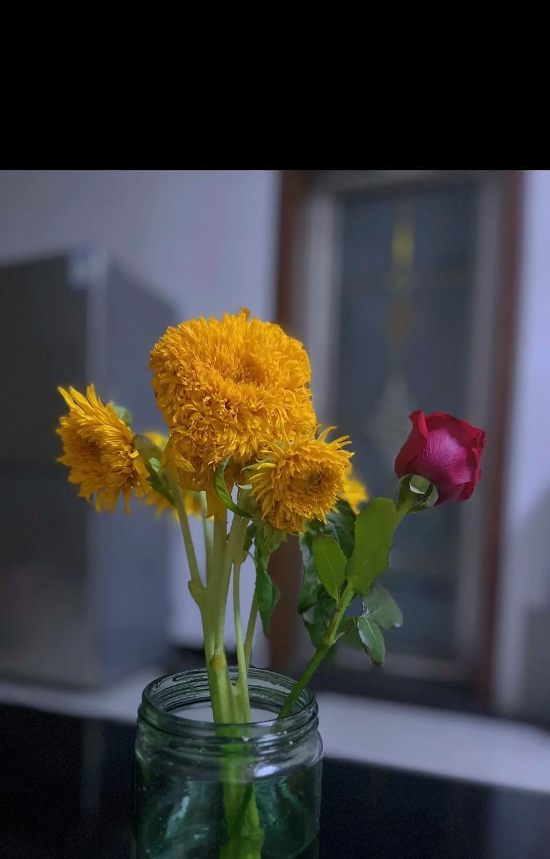 测试你的花语是什么？如何通过花朵表达你的情感？