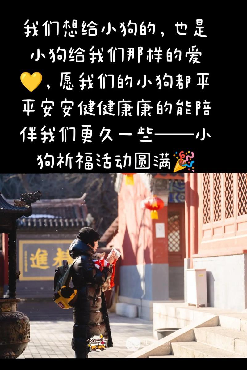 什么花语代表祈福呢？祈福之花有哪些？