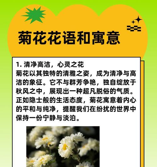 高洁的象征性花指的是哪种花？它的象征意义是什么？