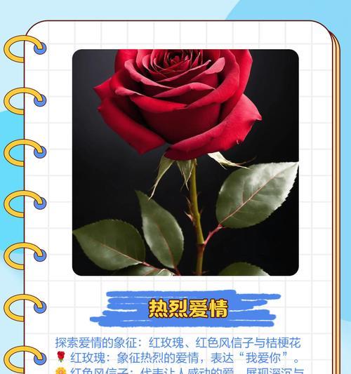 什么花代表着隐秘的爱恋？揭秘那些象征爱情的花卉。