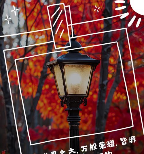 赞扬母爱的花语是什么？哪种花最能表达对母亲的敬爱？