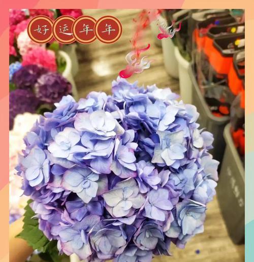 祝贺升迁的花语是什么？如何选择合适的花卉表达祝福？