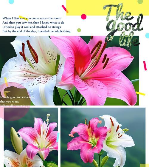 象征美满饰物的花朵是什么花？这种花的花语有哪些含义？