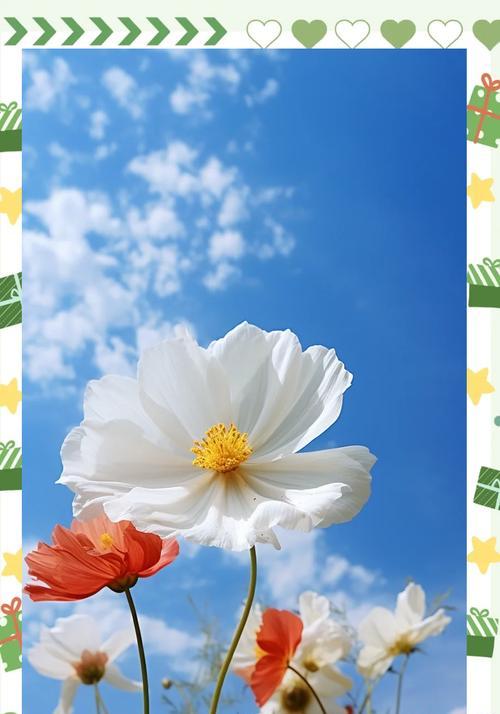 人和花的寓意是什么？如何解读人与花之间的象征意义？