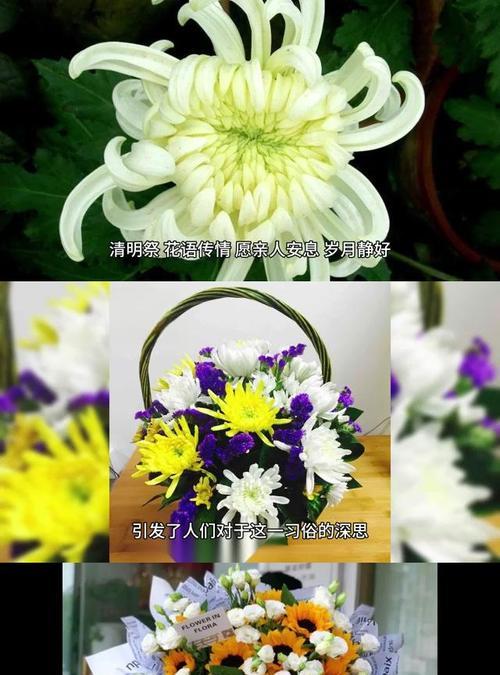 清明节送花的寓意是什么？为什么要送特定的花？