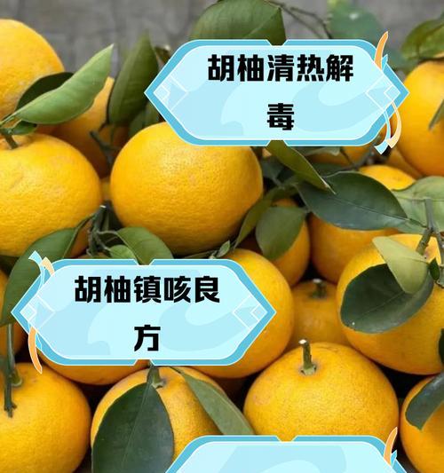 胡柚花的寓意是什么？了解胡柚花的象征意义和文化背景？