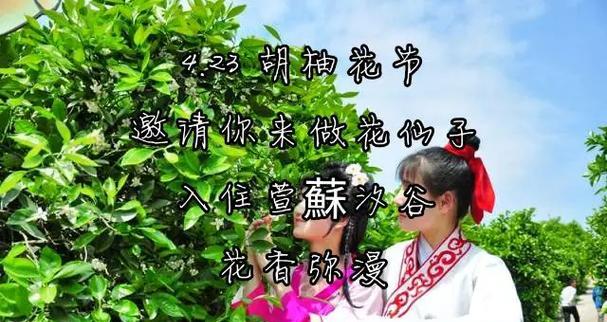 胡柚花的寓意是什么？了解胡柚花的象征意义和文化背景？