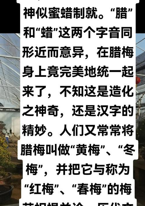 腊梅的花语代表什么？为什么人们喜欢腊梅？