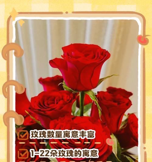 送花的寓意有哪些？不同数量的花代表什么意义？