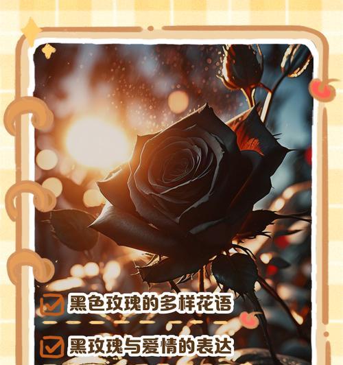 玫瑰是我的什么花语？如何解读玫瑰的深层含义？