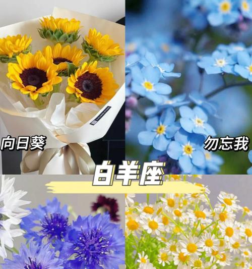 本命花的寓意是什么？如何挑选代表自己生肖的花卉？