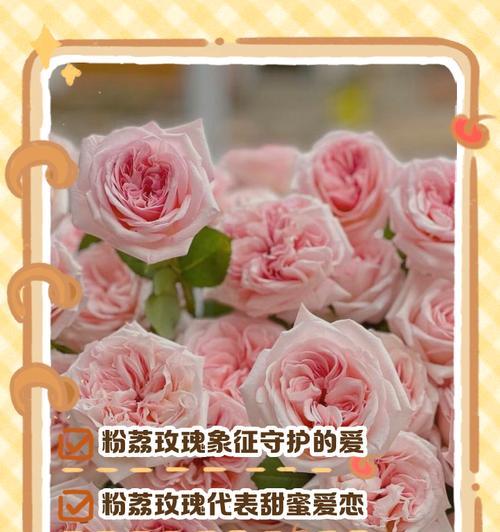 送弟弟荔枝花语是什么？荔枝的花语有哪些含义？
